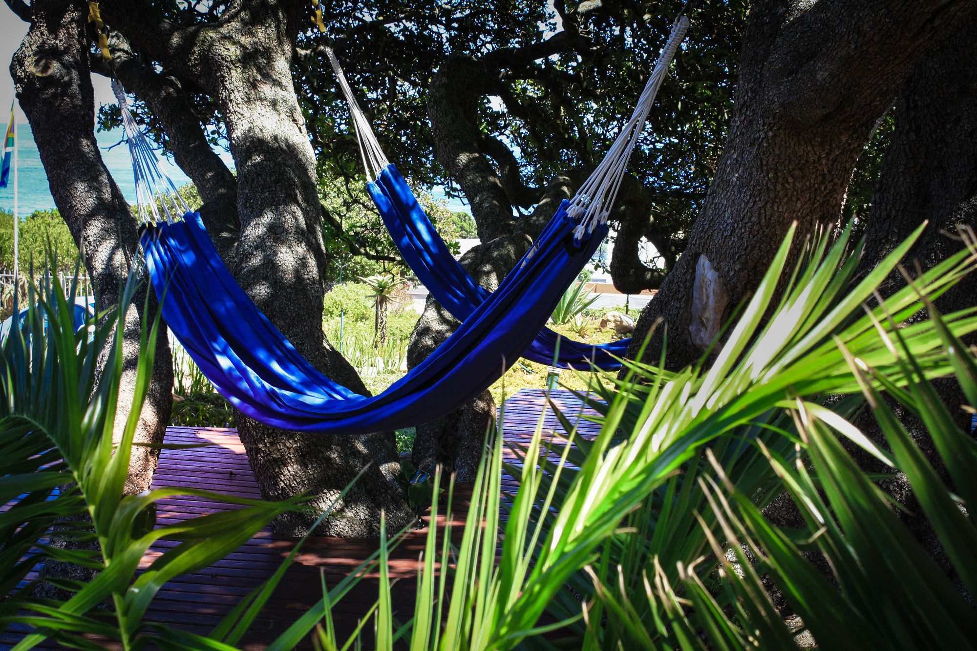 Фото Ocean View House