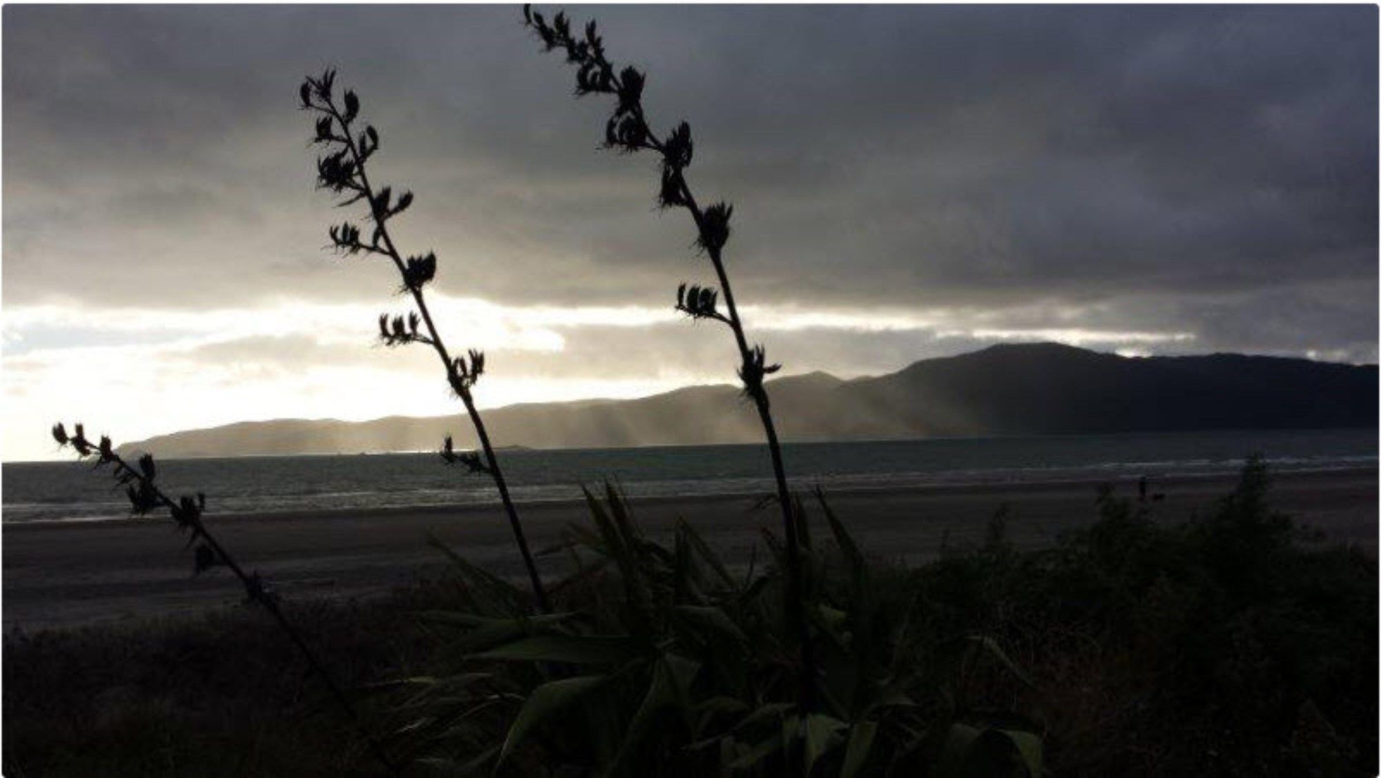 Фото Wrights by The Sea Motel