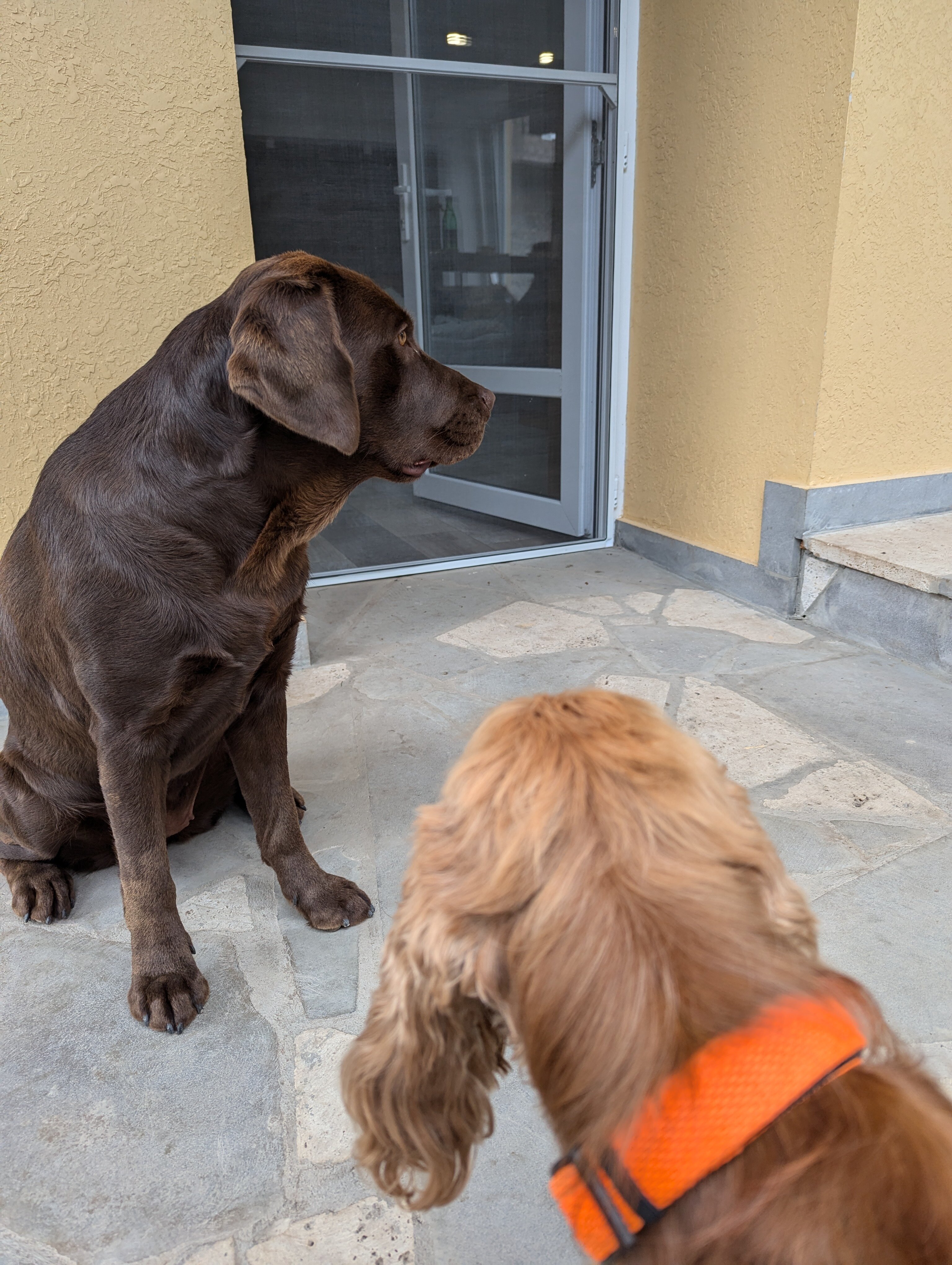 Фото RestArt Boutique Hotel