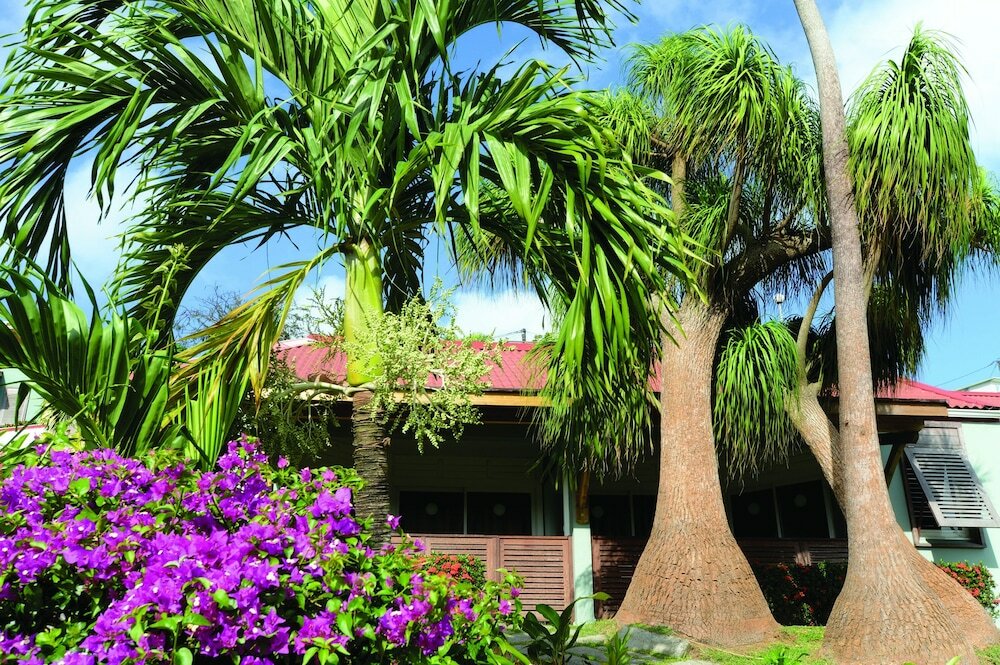 Фото Hotel Panoramic