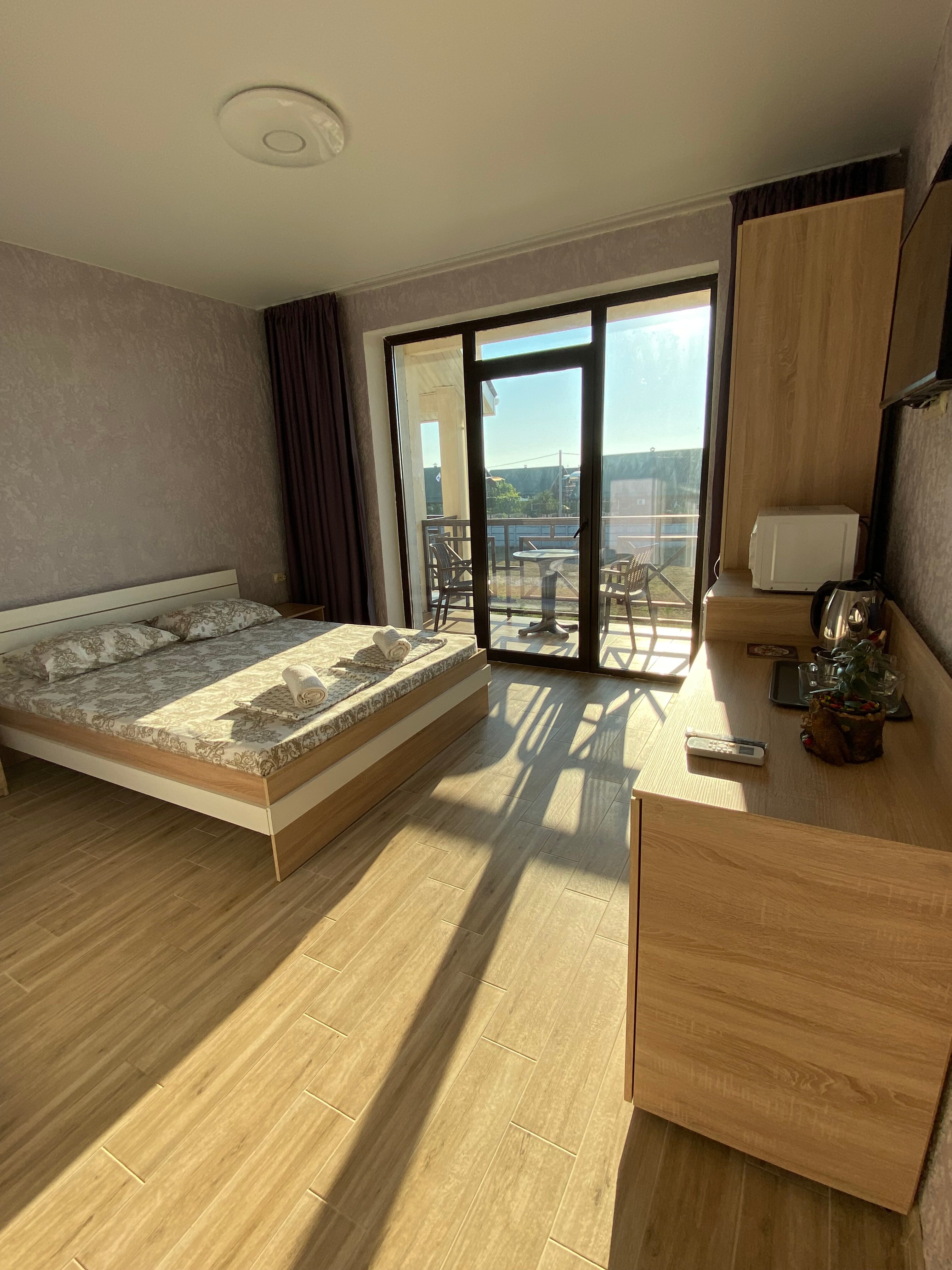 Фото Сантолина