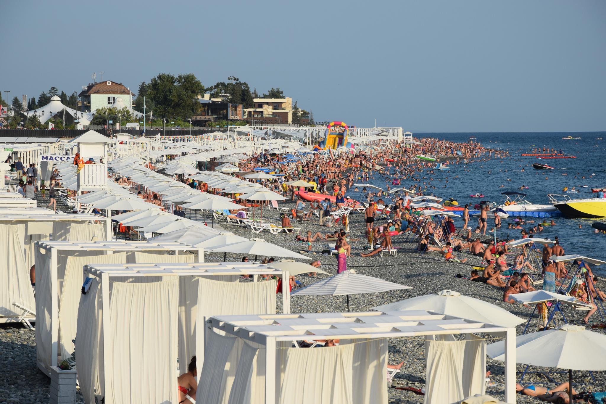 Фото Колибри