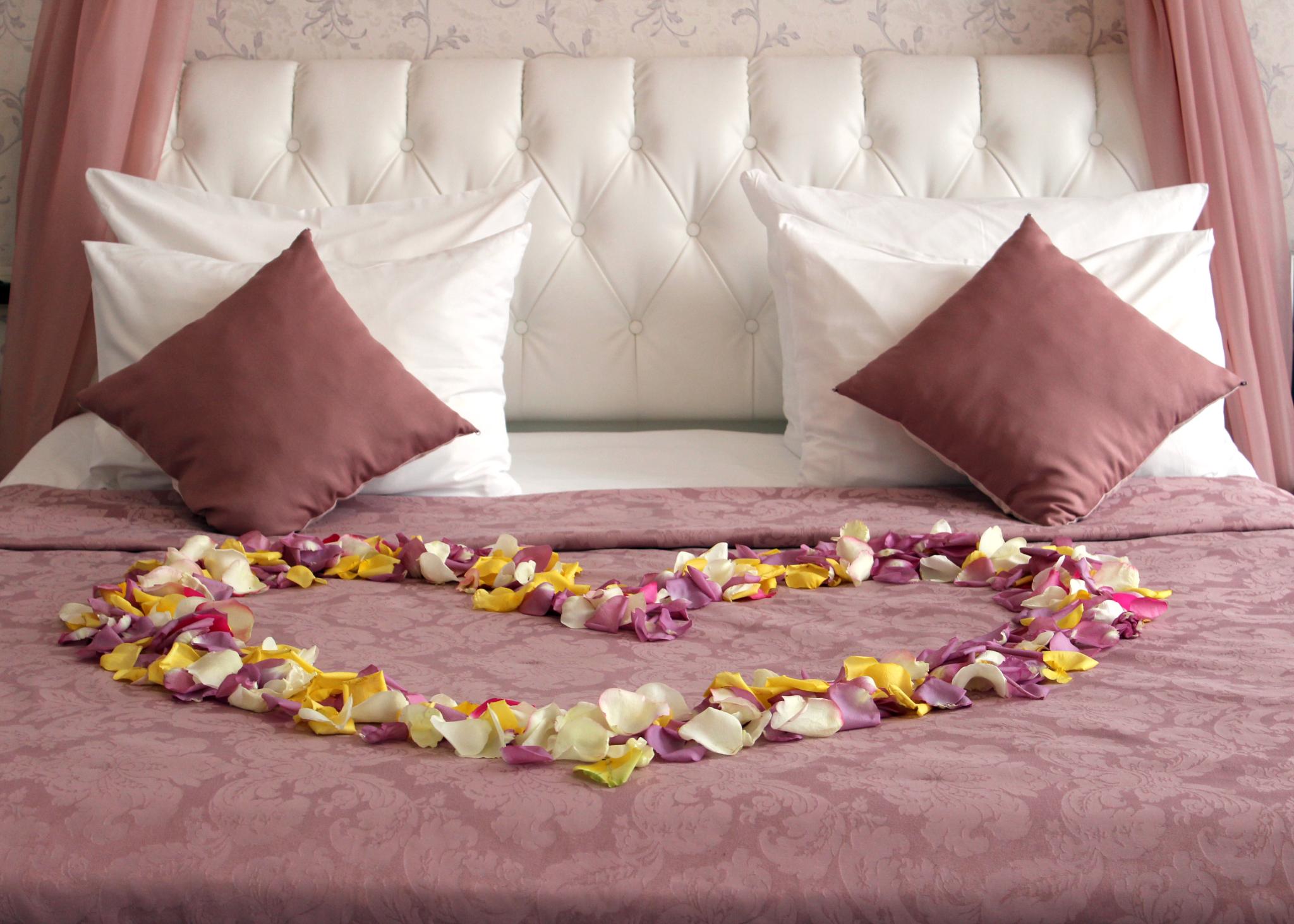 Фото Muse of City