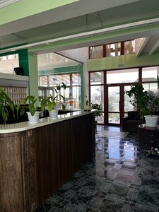 Акуна Матата