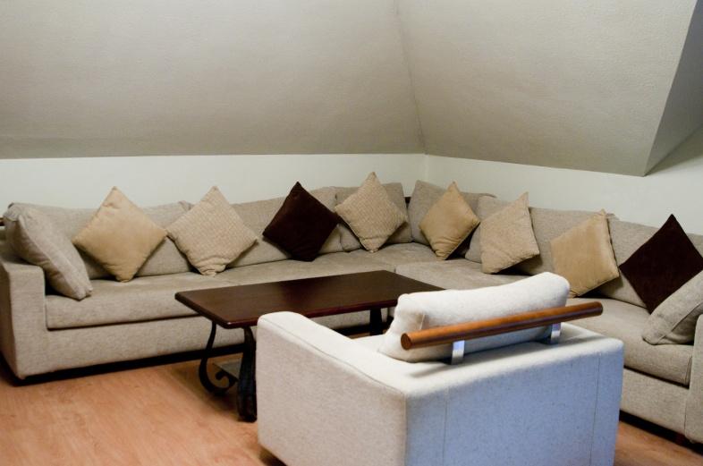 Фото Сосны плюс