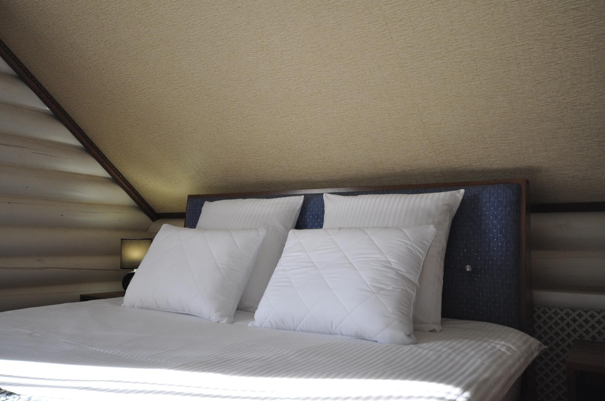 Фото Казачок