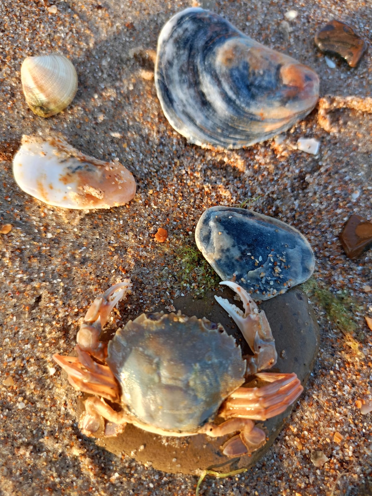 Фото Соленое озеро