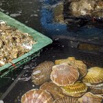 More Vkusno (Russkiy Village, posyolok Minka, 20), fish and seafood