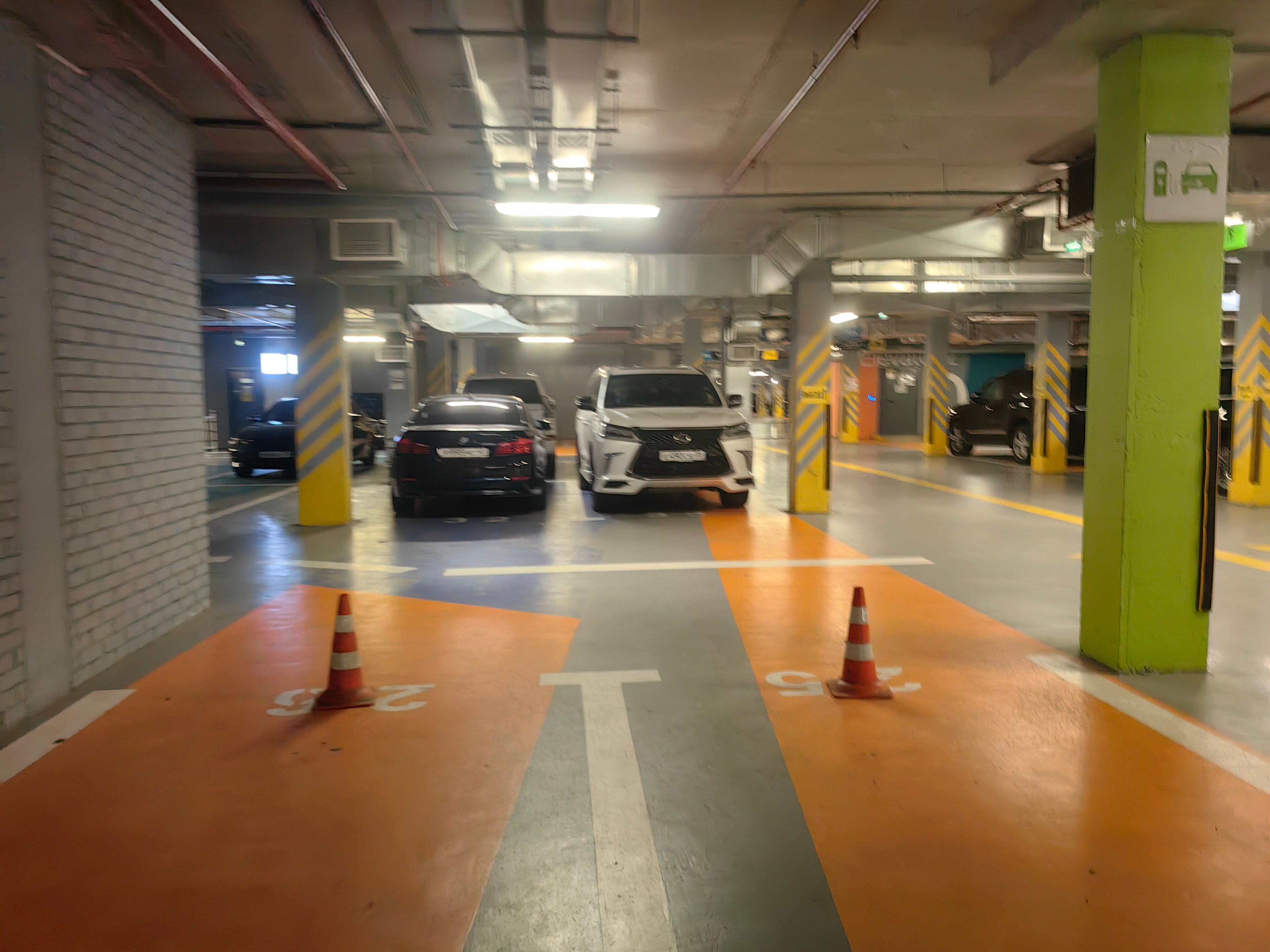 Фото Элма Пулково