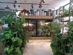 Private Floristry (Konya, Meram, Havzan Mah., Yenisantralelektrik Cad., 29B) ، محل زهور