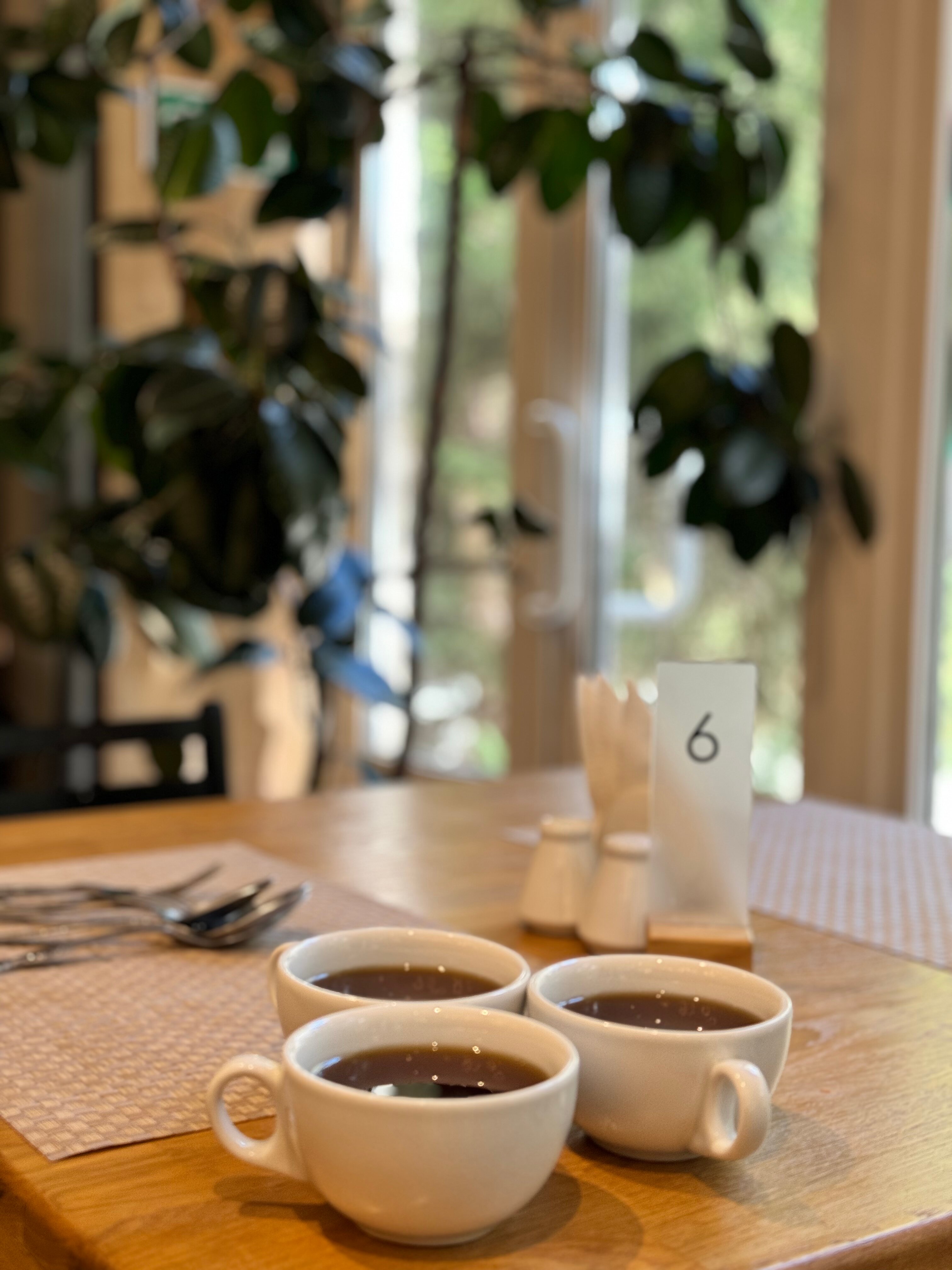 Фото Энергетик