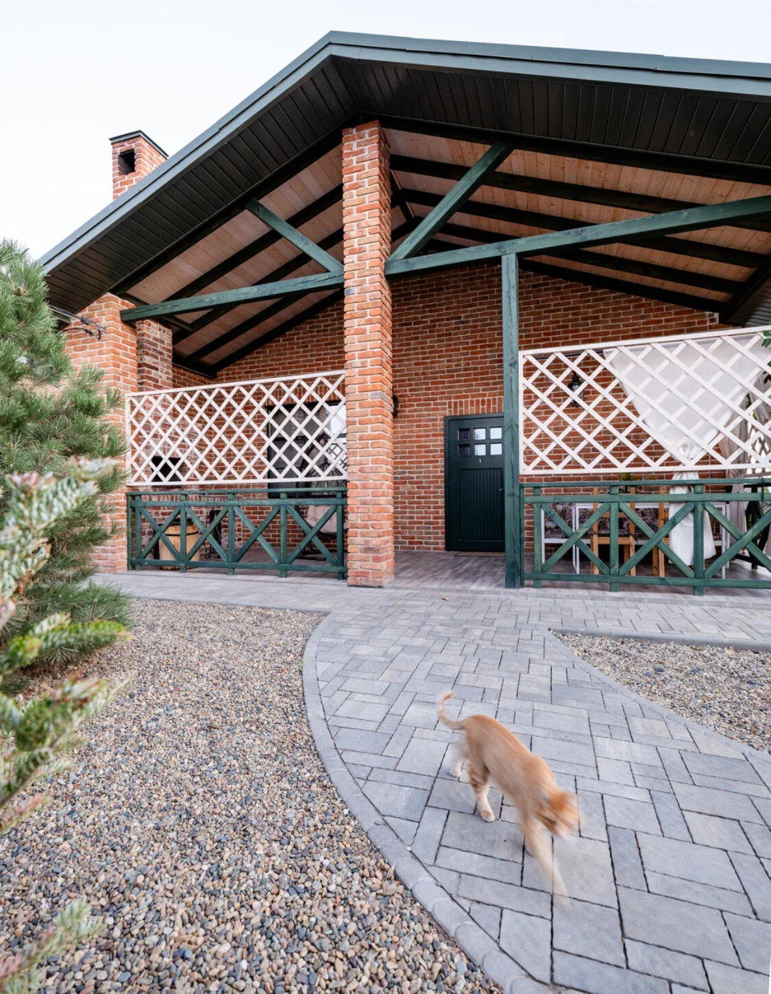 Фото Фазаново