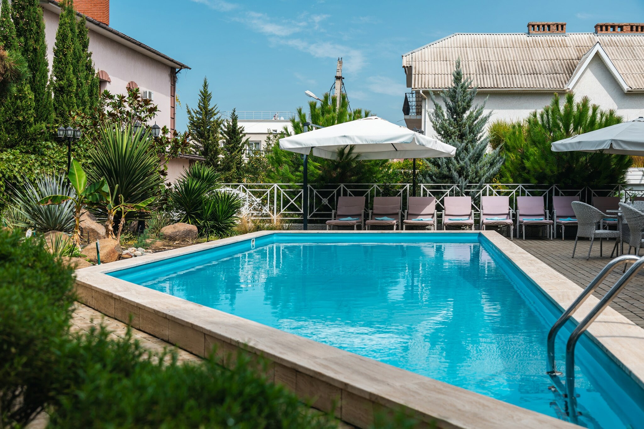 Фото Розмарин