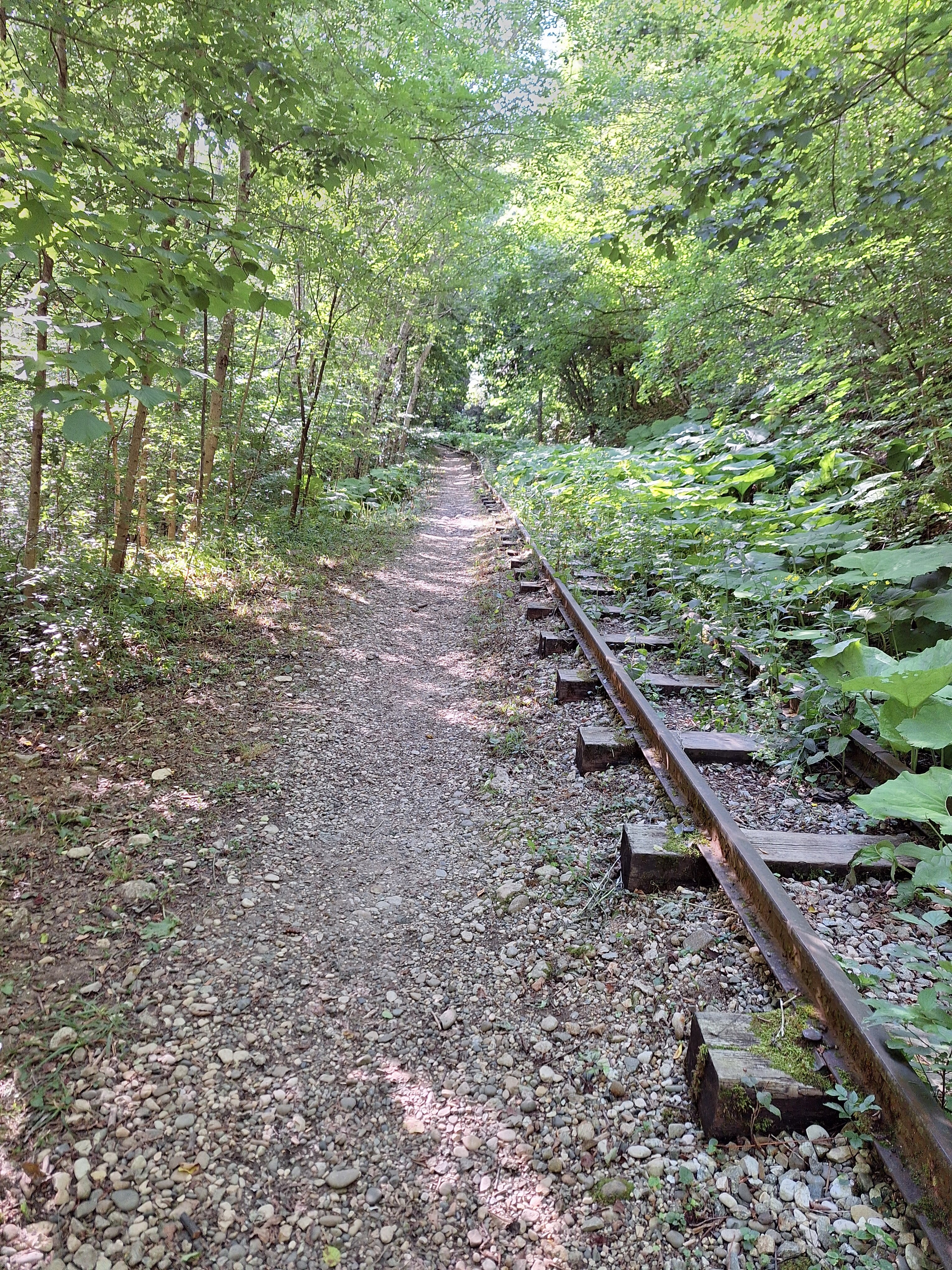 Фото Высокий берег