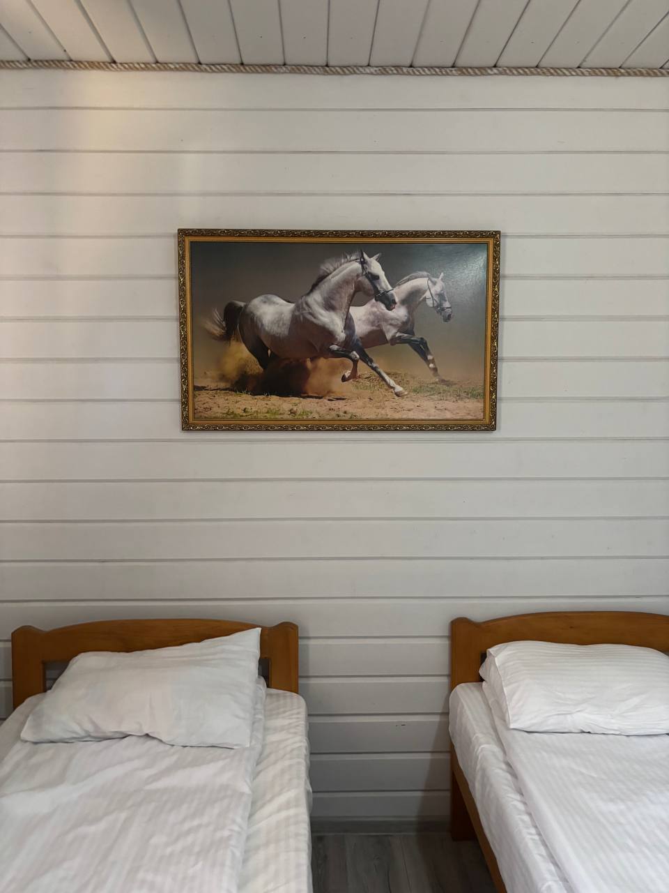 Фото Солнечный Хаджох