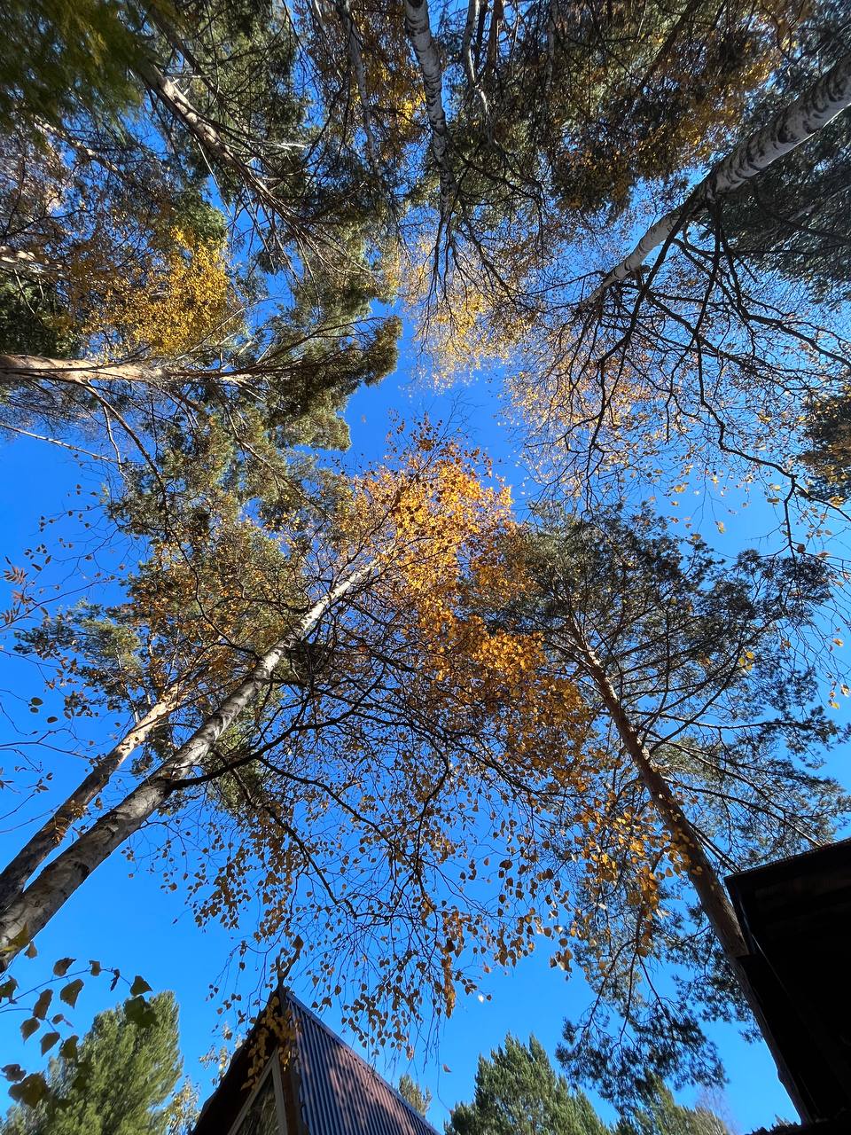 Фото Усадьба Байкальский край