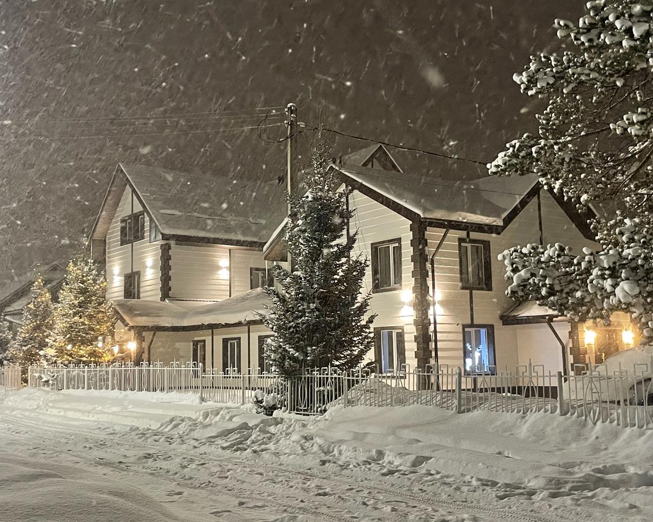 Фото Baikal Best Edelweiss