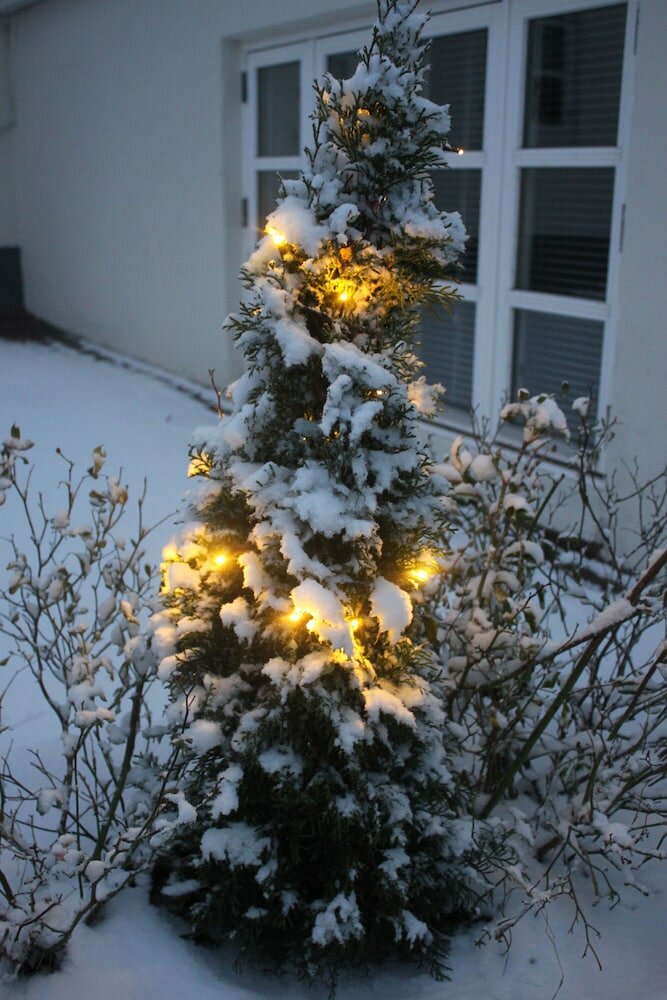 Фото Spangsgaard bed and breakfast