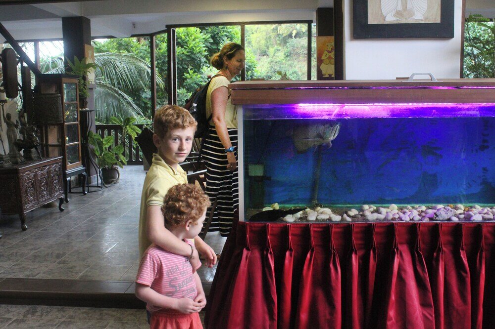 Фото Sizzlers Hub - Hostel