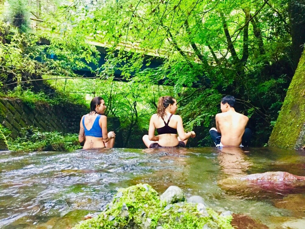 Фото Vanguard Backpackers - Hostel