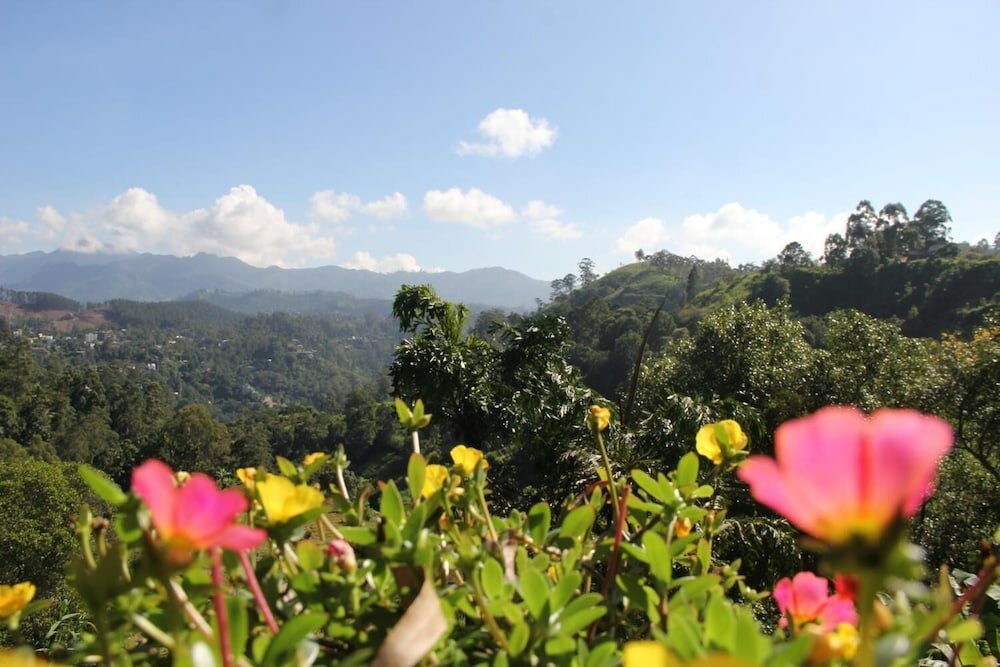 Фото Rockvila Guest House