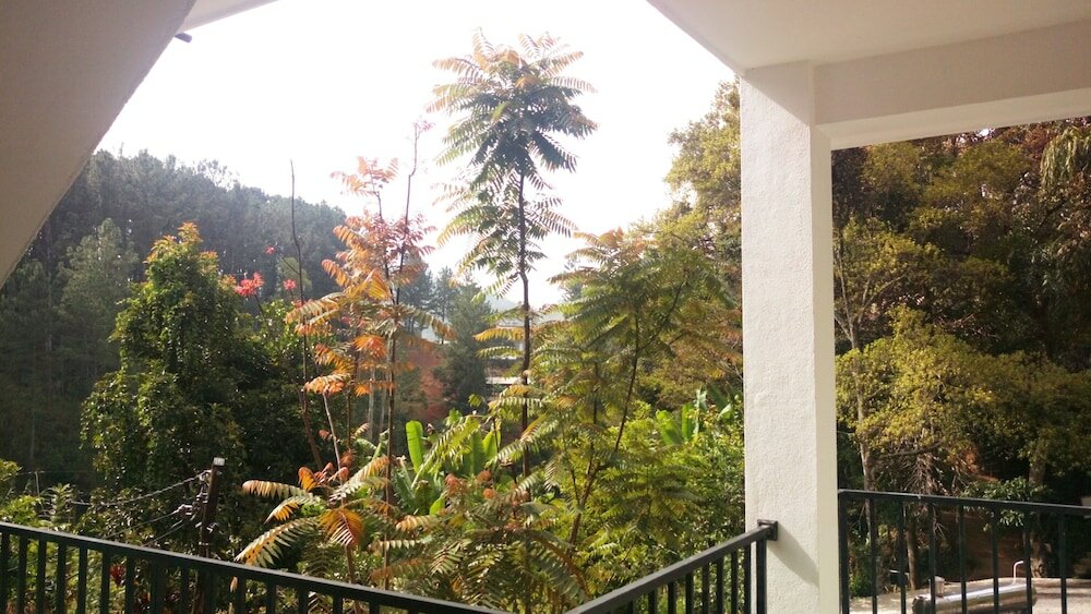 Фото Misty Elegance Ella