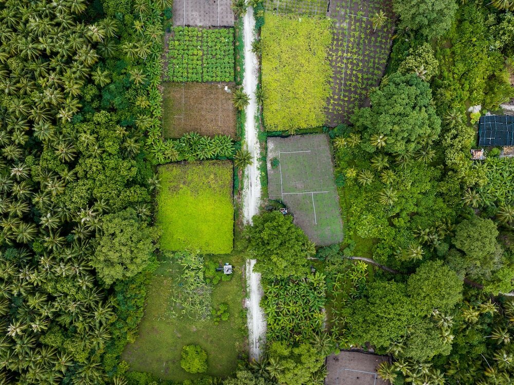 Фото Island Zephyr