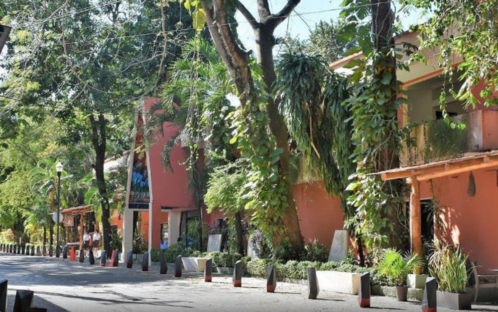 Фото Maya Tulipanes Express