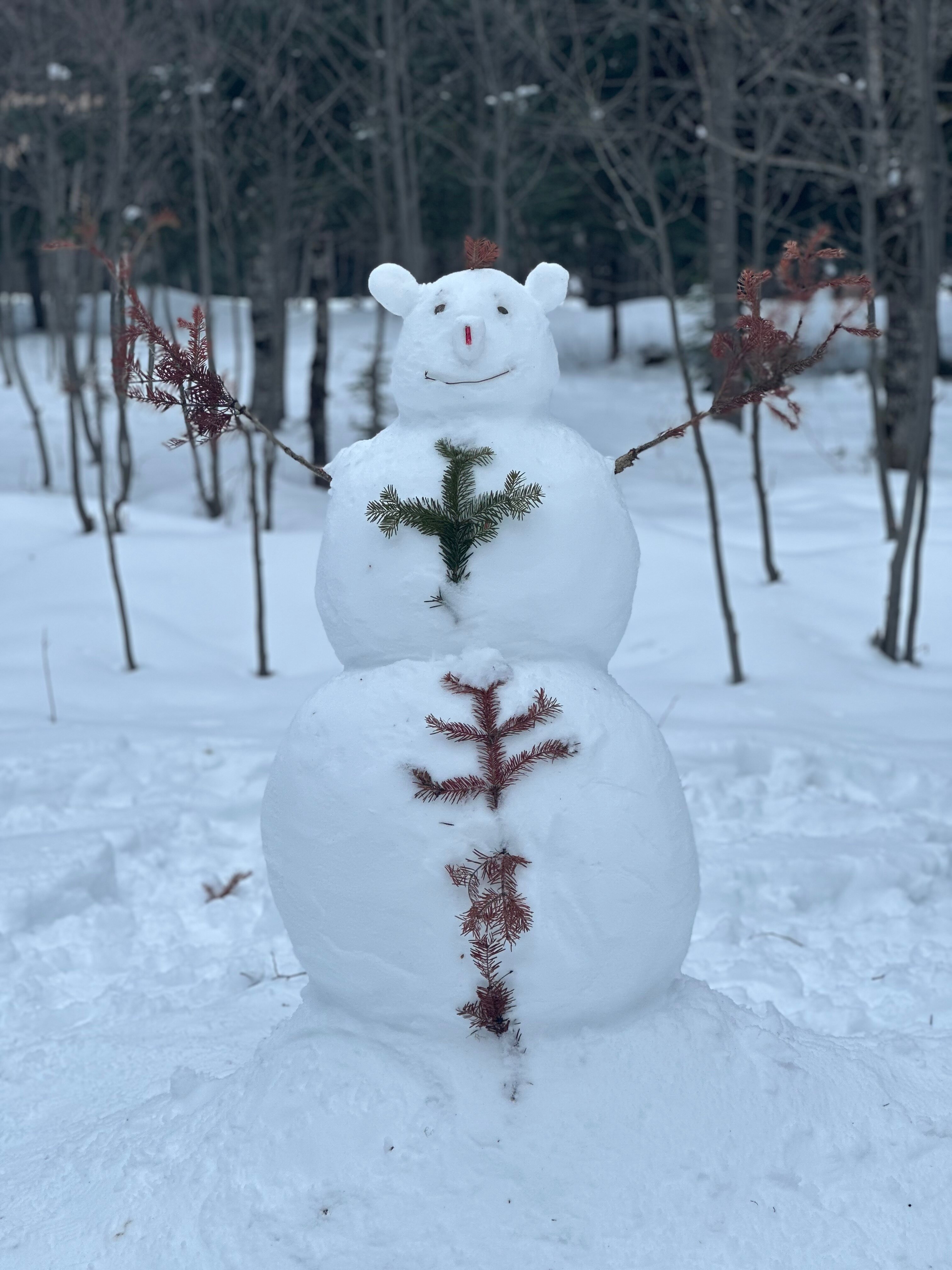 Фото АрхызGreen