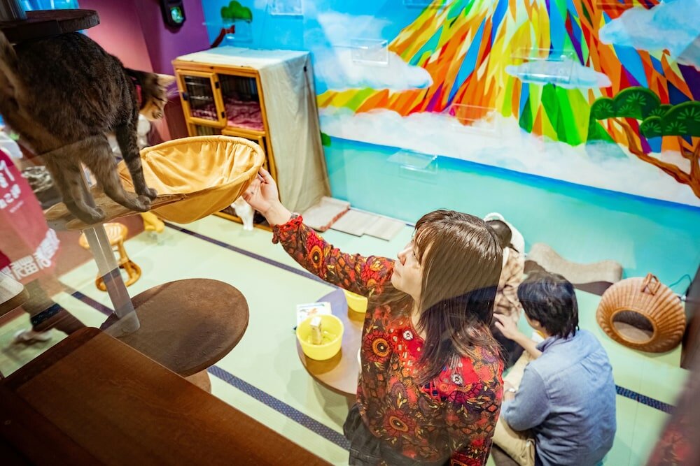 Фото Neco yokujo & neco hatago Neco Requblic - Hostel