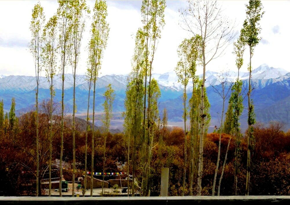 Фото Grand Himalaya