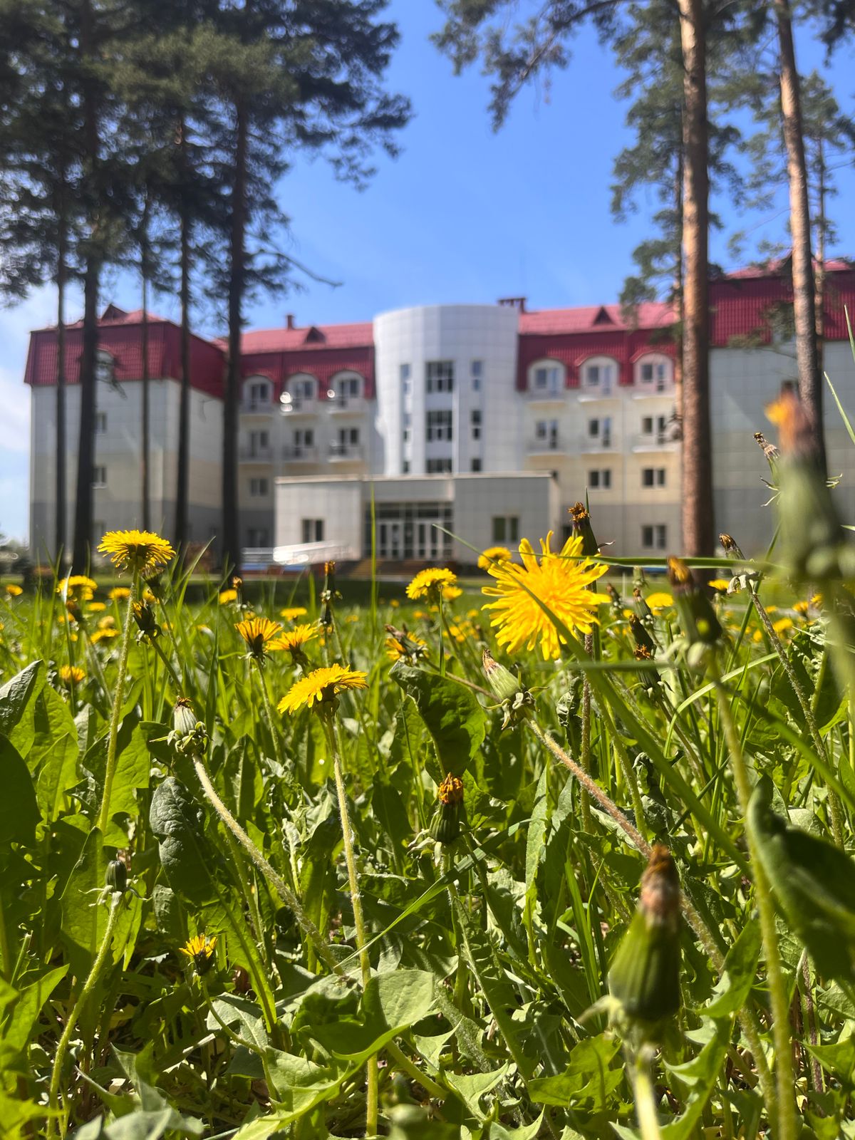 Фото Амакс Курорт ЭкоПарк