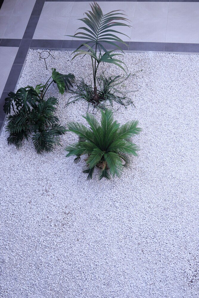 Фото El Sueño de San Fernando