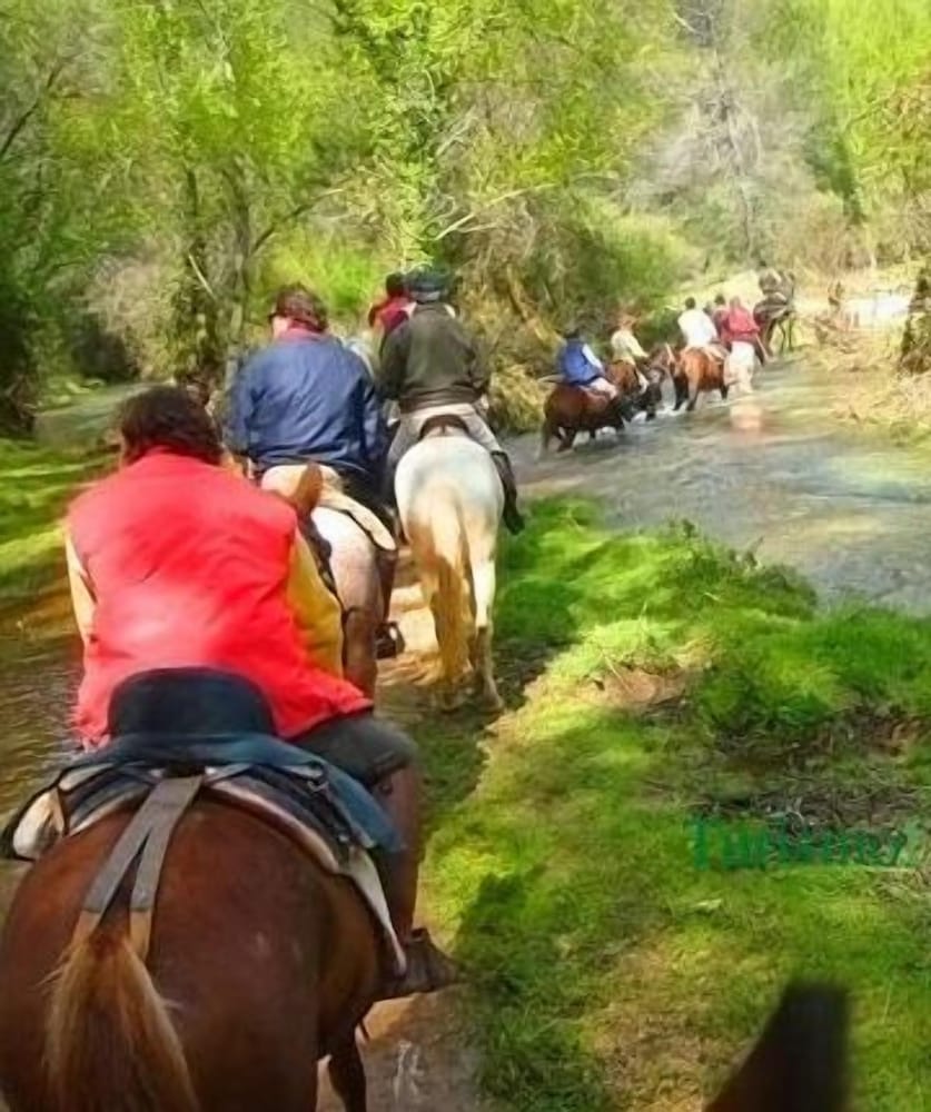 Фото Aparthotel Monte Piedra