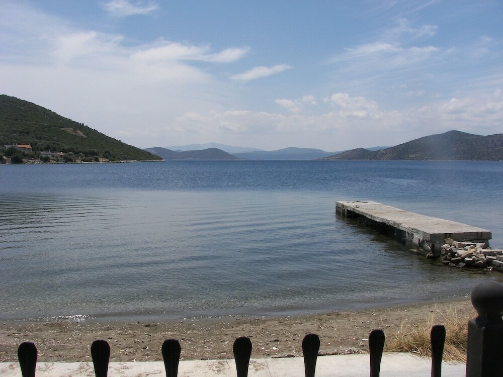 Фото Blue Dreams