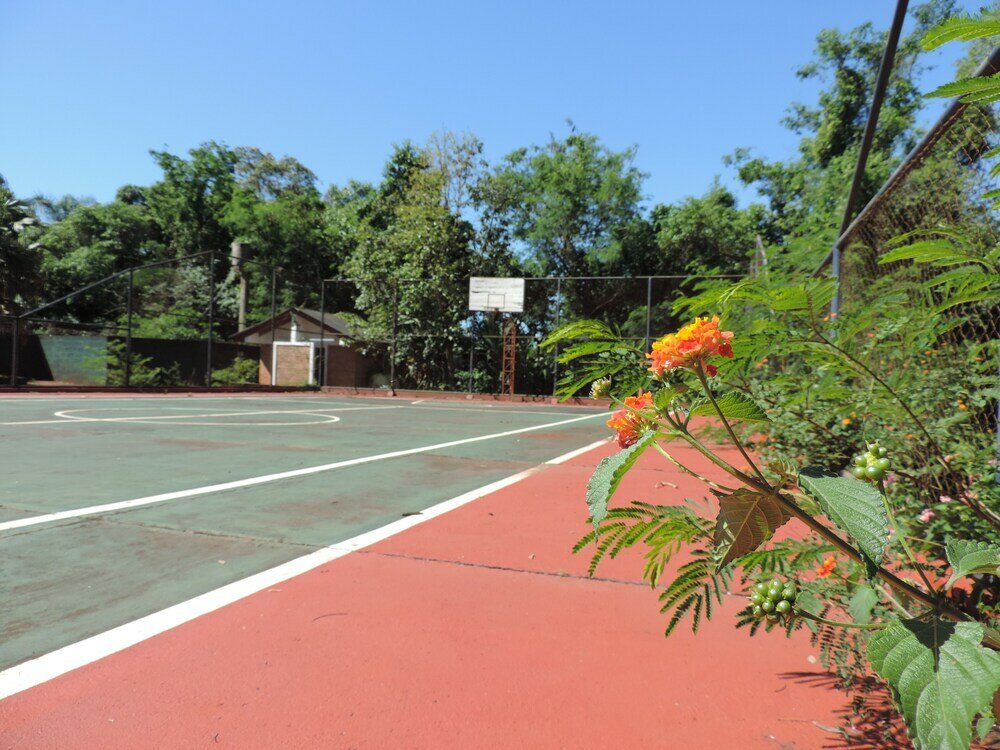 Фото Hotel Cabañas del Leñador