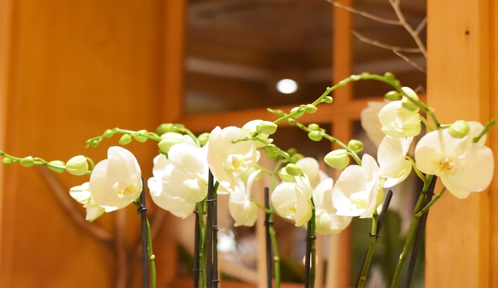 Фото Hotel Sonnblick