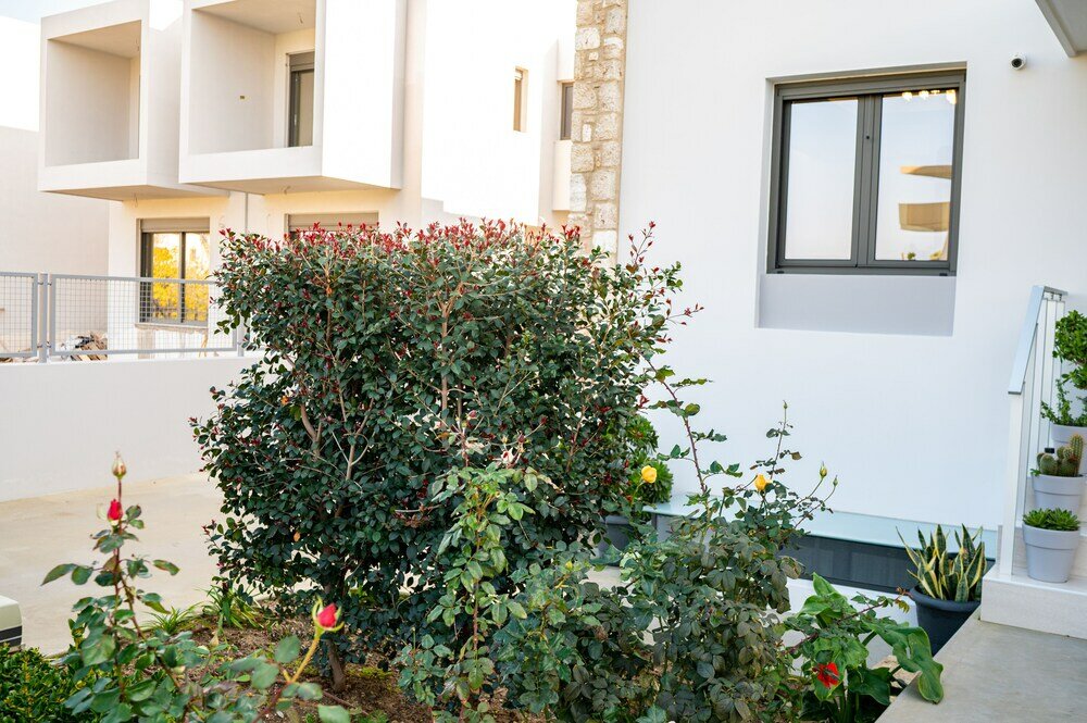 Фото Lilium Apartment