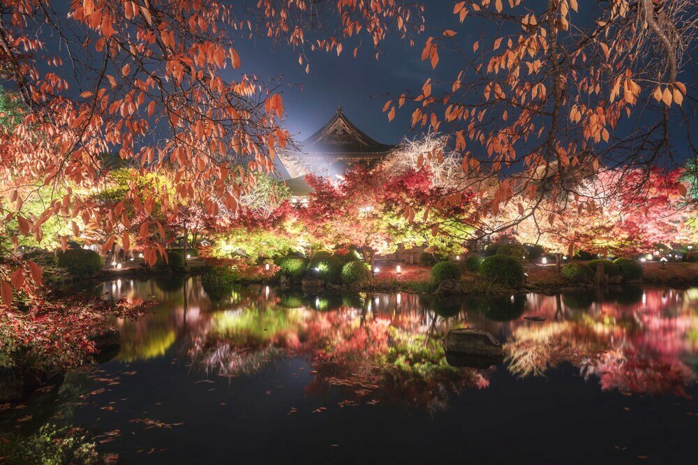 Фото Omo3 Kyoto Toji by Hoshino Resorts