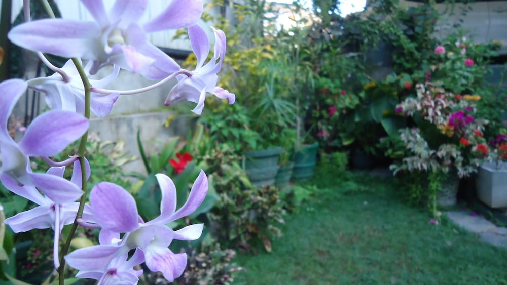 Фото Resort Beam