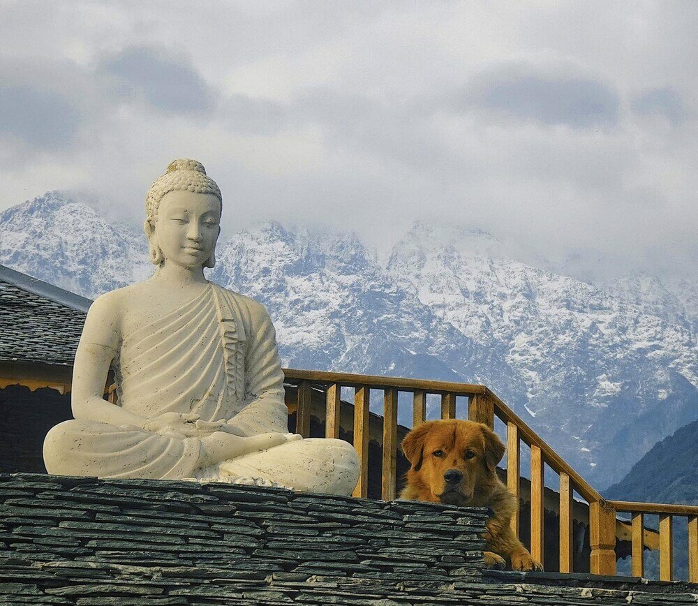 Фото Osho Himalayas