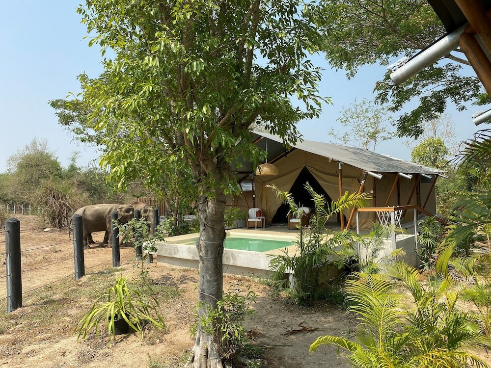 Фото Elephant View Camp