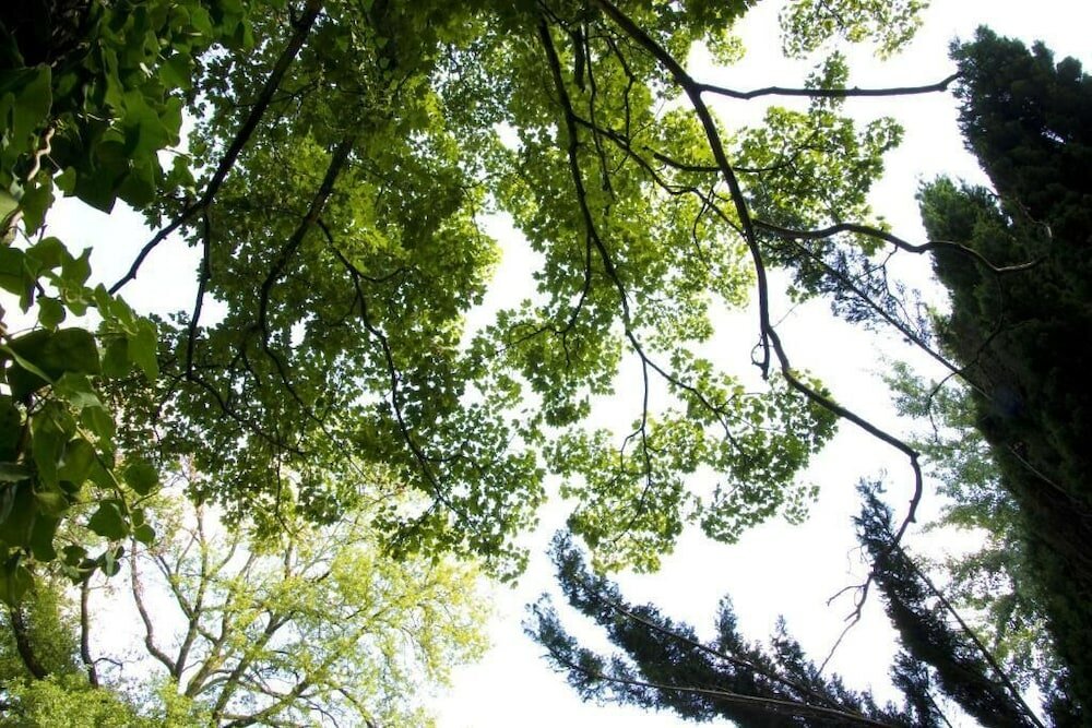 Фото Bloemenweelde