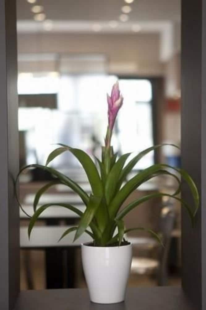 Фото Hotel Cecyl