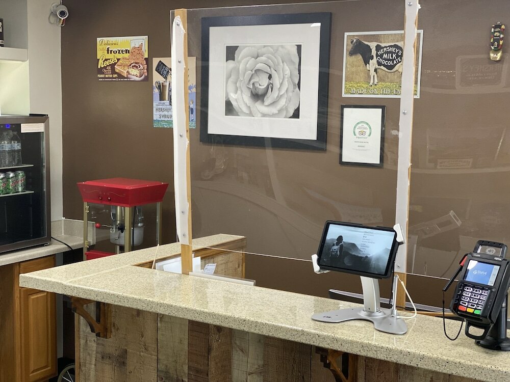 Фото White Rose Motel - Hershey