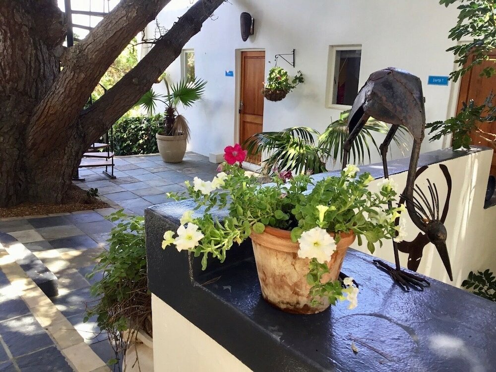 Фото Ocean Golf Guest House