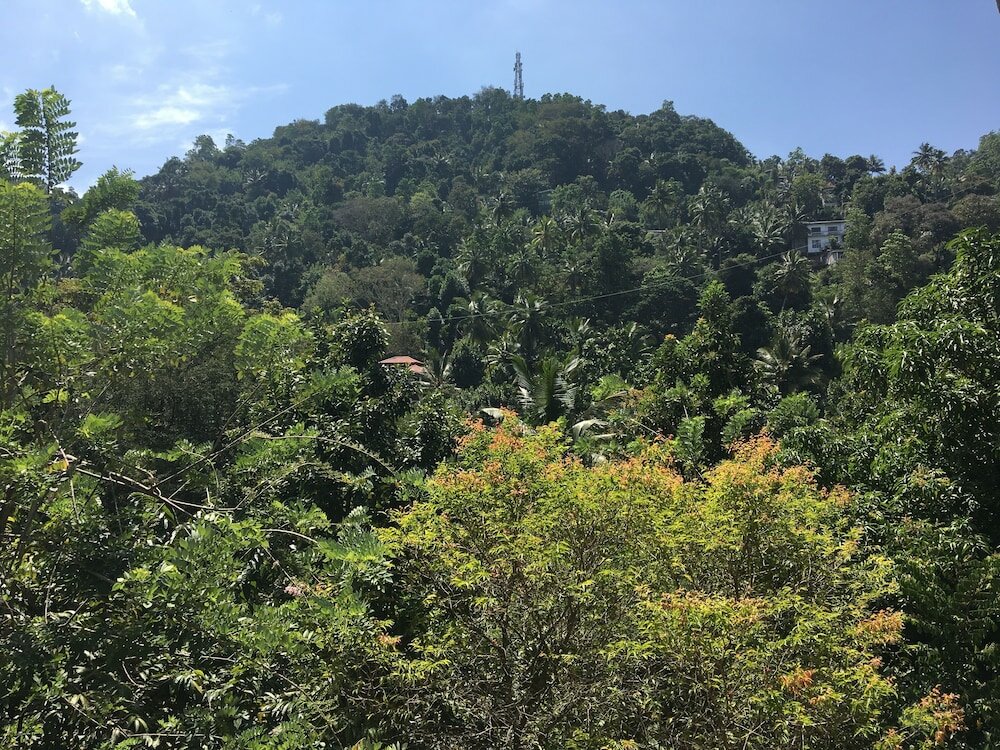 Фото Kandy Home Stay Villa