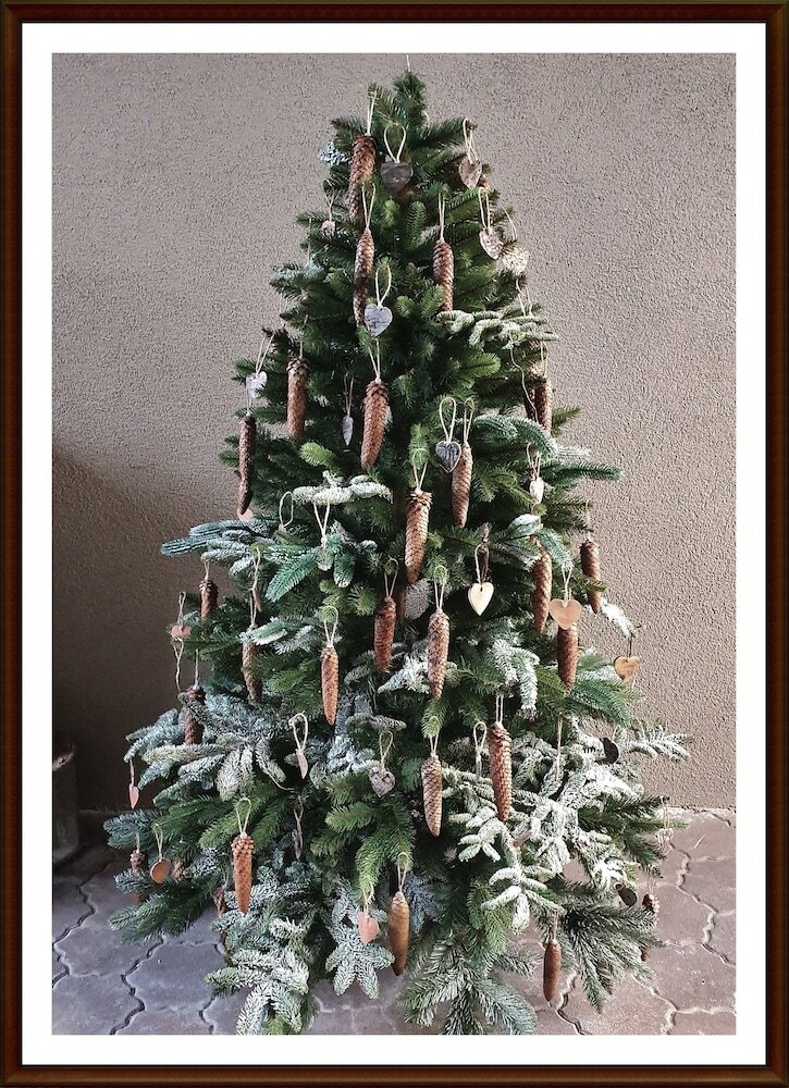 Фото Kolev Apartments