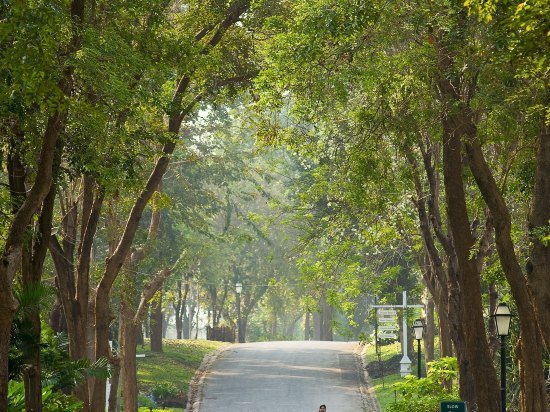Фото Comsaed River Kwai Resort
