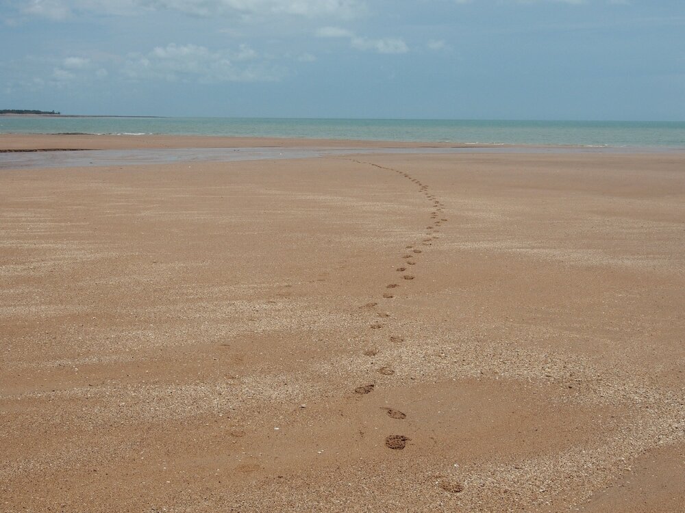 Фото Wagait Beach Holiday Houses
